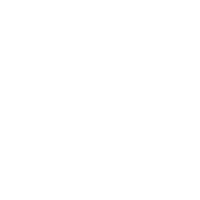 icon1
